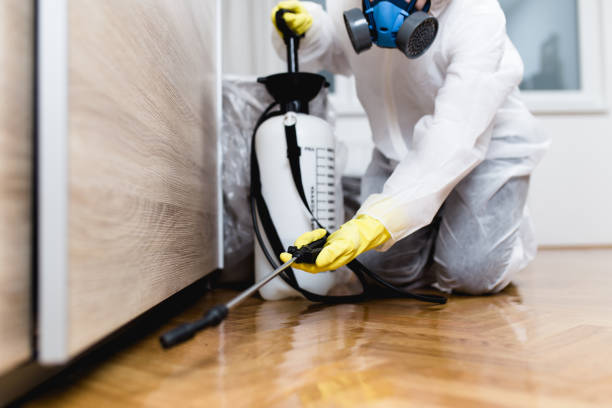 Best Exterminator Services  in Glennville, GA