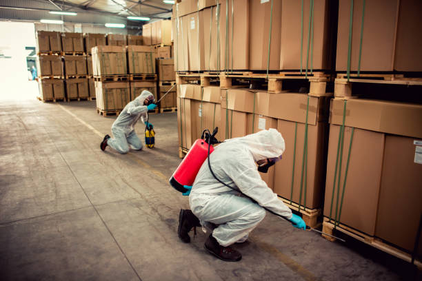 Best Pest Removal Services  in Glennville, GA