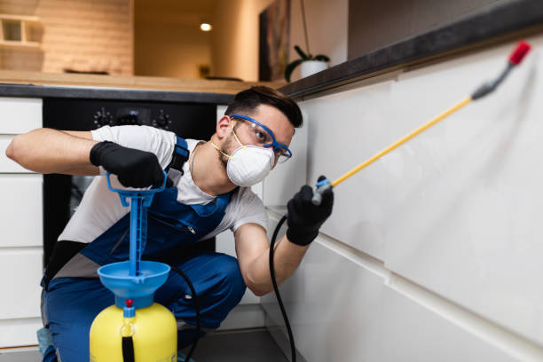 Reliable Glennville, GA Pest Control Solutions