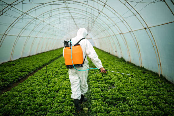 Best Residential Pest Control  in Glennville, GA