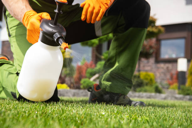 Best Local Pest Control Services  in Glennville, GA
