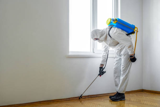 Flea Control Services in Glennville, GA