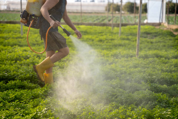 Best Ant Control Services  in Glennville, GA