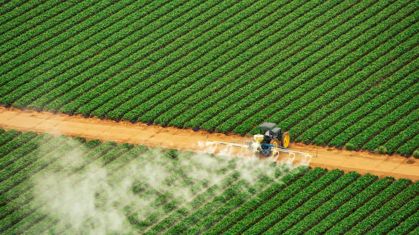 Best Pest Prevention Services  in Glennville, GA