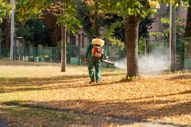 Best Wasp Removal Services  in Glennville, GA