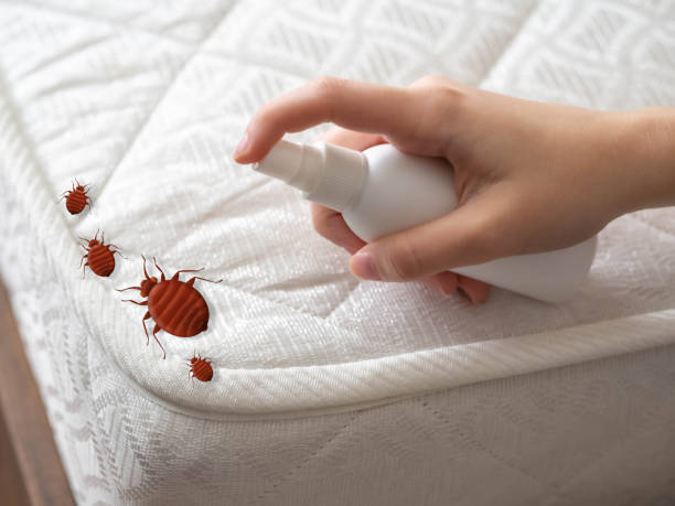 Best Pest Control for Restaurants  in Glennville, GA
