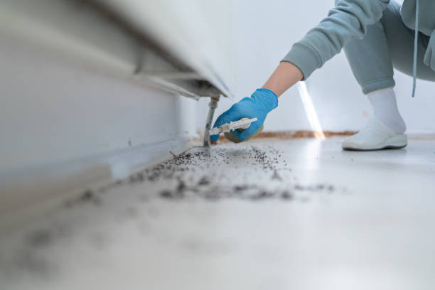 Best Mosquito Control Services  in Glennville, GA