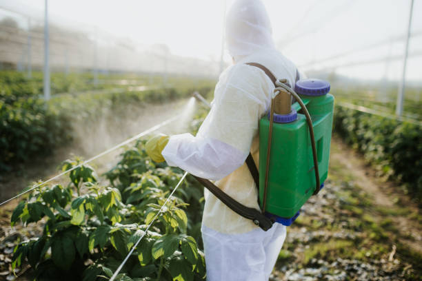 Best Rat Extermination Near Me  in Glennville, GA